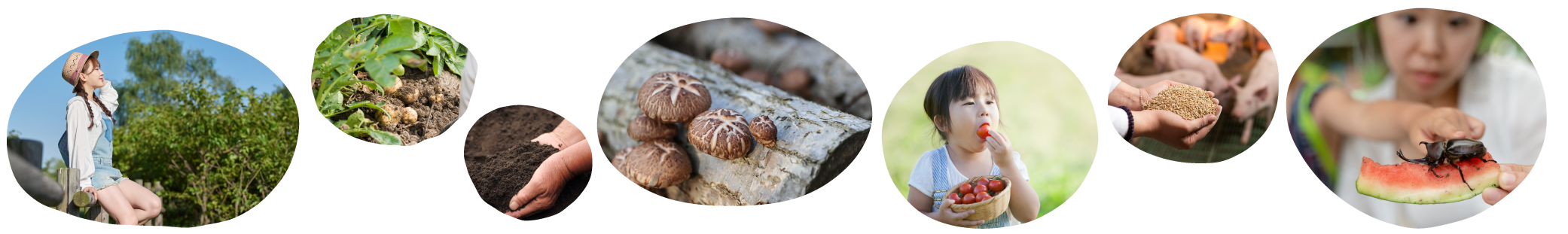 秋善農場とはイメージ